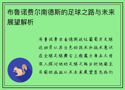 布鲁诺费尔南德斯的足球之路与未来展望解析